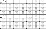Figure 13A