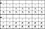 Figure 14A